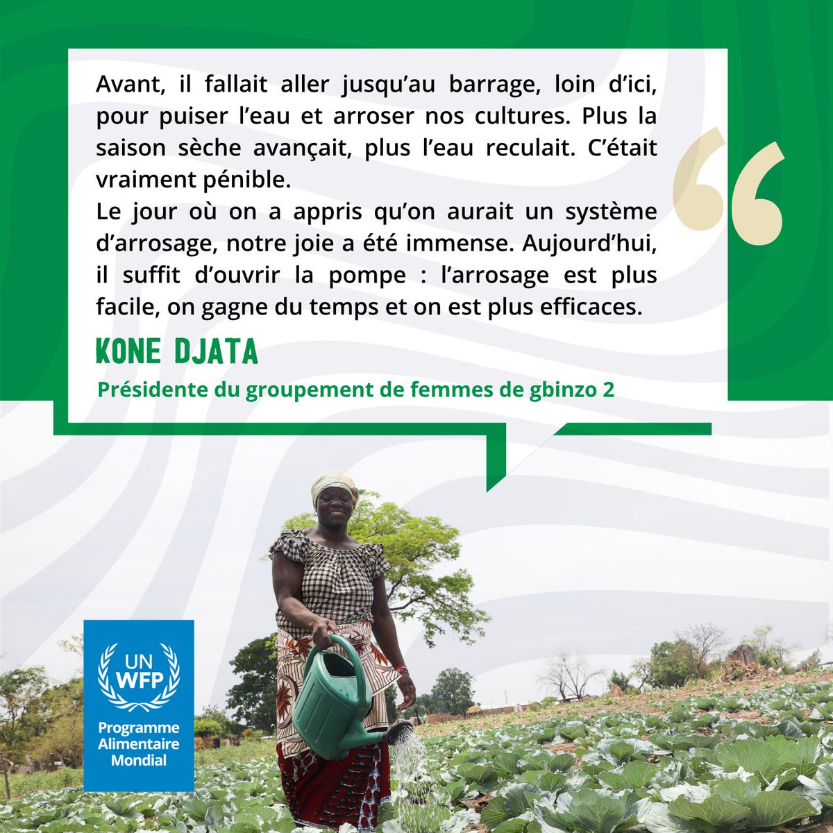 WFP_Cotedivoire's tweet image. «Avant, il fallait marcher jusqu’au barrage pour puiser l’eau. Aujourd’hui, il suffit d’ouvrir la pompe. »
Grâce au soutien de @DFAT 🇦🇺, les #producteurs de Gbinzo 2 🇨🇮 gagnent du temps, économisent leurs efforts, améliorent leurs rendements & soutiennent les #cantinesscolaires
