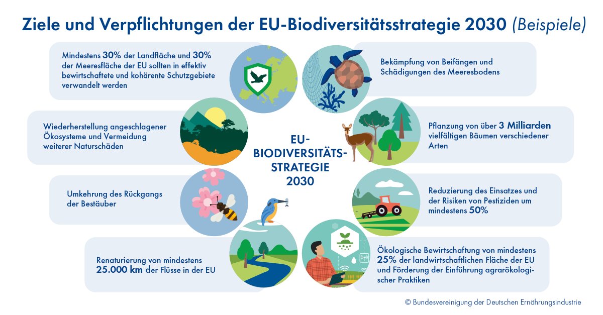 📑 𝐄𝐔-𝐁𝐢𝐨𝐝𝐢𝐯𝐞𝐫𝐬𝐢𝐭ä𝐭𝐬𝐬𝐭𝐫𝐚𝐭𝐞𝐠𝐢𝐞 𝟐𝟎𝟑𝟎: 𝐌𝐞𝐡𝐫 𝐒𝐜𝐡𝐮𝐭𝐳, 𝐦𝐞𝐡𝐫 𝐕𝐞𝐫𝐚𝐧𝐭𝐰𝐨𝐫𝐭𝐮𝐧𝐠 30 % Schutzgebiete, 50 % weniger Pestizide, Renaturierung – die EU macht #Biodiversität zur Pflicht. 🌾Für die #Lebensmittelwirtschaft heißt das: