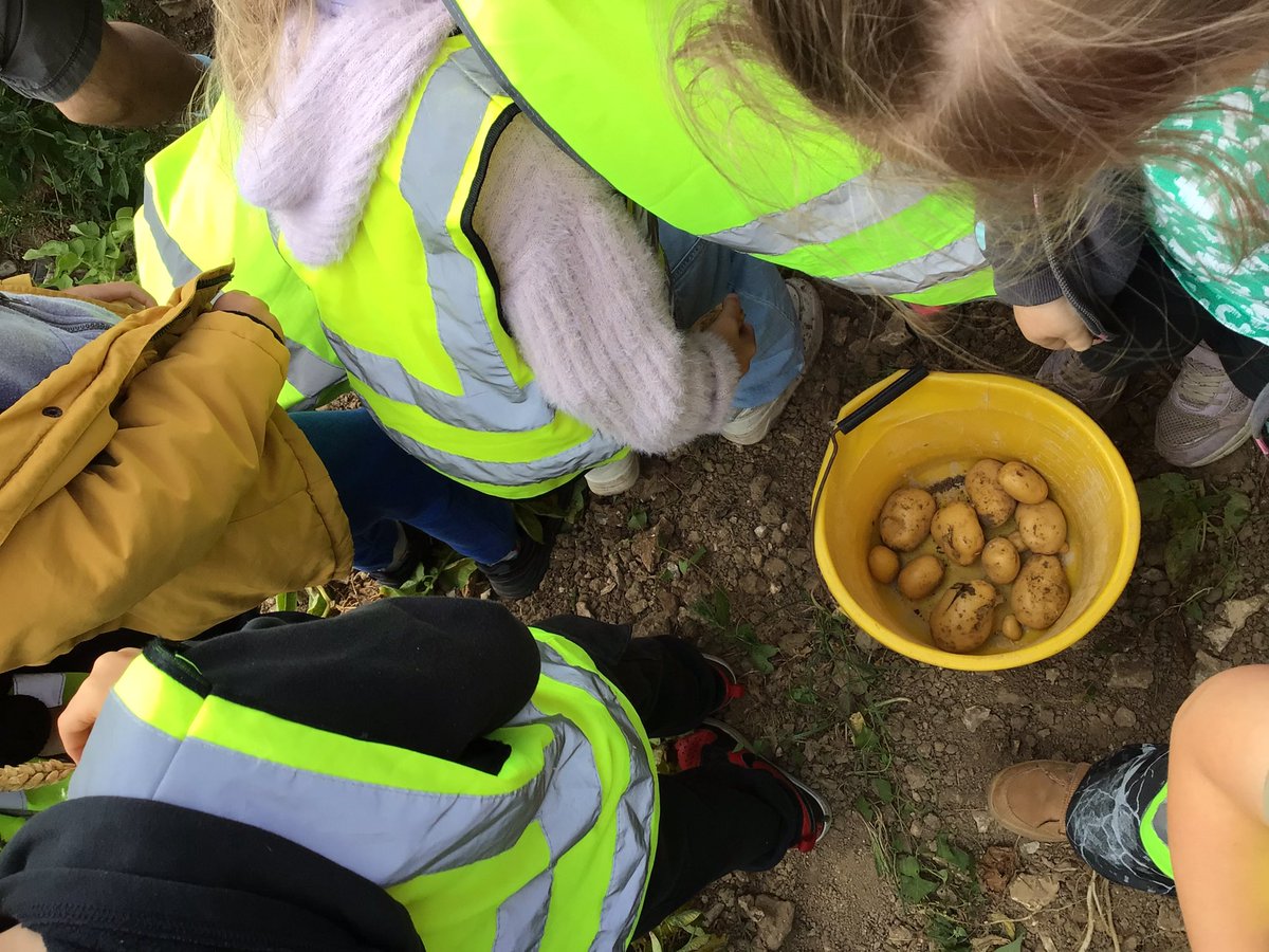 sps_year_1's tweet photo. Lime Class enjoyed their trip last week! https://t.co/Wvut3bmjWu