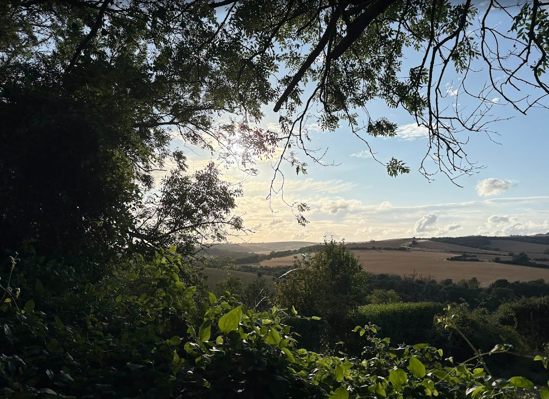 adamvaughan_uk's tweet image. Partha Dasgupta, who produced a review on the economics of biodiversity, is one of the world’s foremost intellectuals on valuing nature.
You might be surprised, then, to hear he thinks we need to be more emotional & less intellectual about nature loss.
link.thetimes.co.uk/view/633483fab…