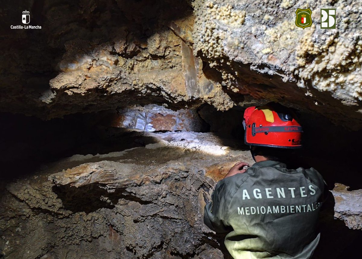 🦇 L@s #AgentesMedioambientales de <a href="/gobjccm/">Gobierno de Castilla-La Mancha</a> estamos realizando censos de quirópteros en las cuevas de la región

ℹ️ ¿Por qué ahora? Porque a finales de julio las crías ya vuelan y se minimiza la molestia a las colonias

👉🏻 Actuamos en el momento justo para preservar su bienestar