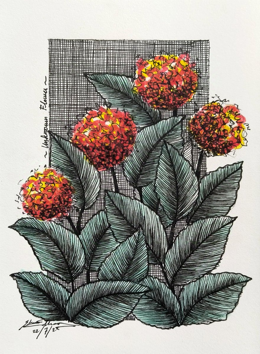 shawnellian's tweet image. &quot;Known&quot;
An unknown flower, growing quietly 
Neglected in a bushland and lonely
No one cares until it blooms...
red-yellow and glow

#sketching #dailydoodle #traditionalart #art #flower #artcommunity #illustshare #pendrawing