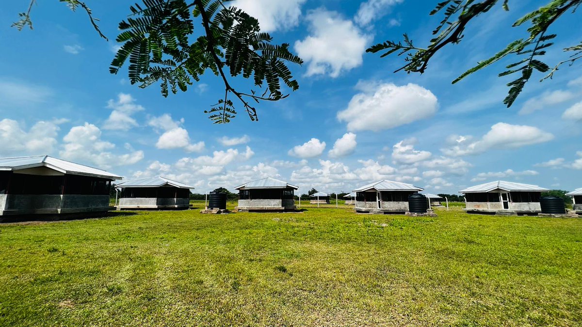 LSHTM_RAFT's tweet image. Last round of experimental hut trials ending in 🇹🇿 Partners @nimrmwanza @NIMRTanga - testing dual A-I LLINs for efficacy to see what the levels of insecticide resistance are - to guide vector control #malaria
Find out more: globalvectorhub.lshtm.ac.uk/insecticide-re…