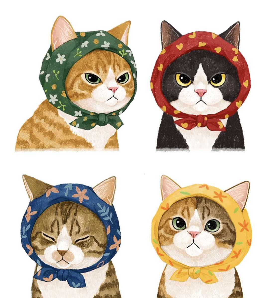 Bon mardi <a href="/Balthaz62324547/">isafontanaud</a> ☁️ des chats après le dentiste 🦷 ?