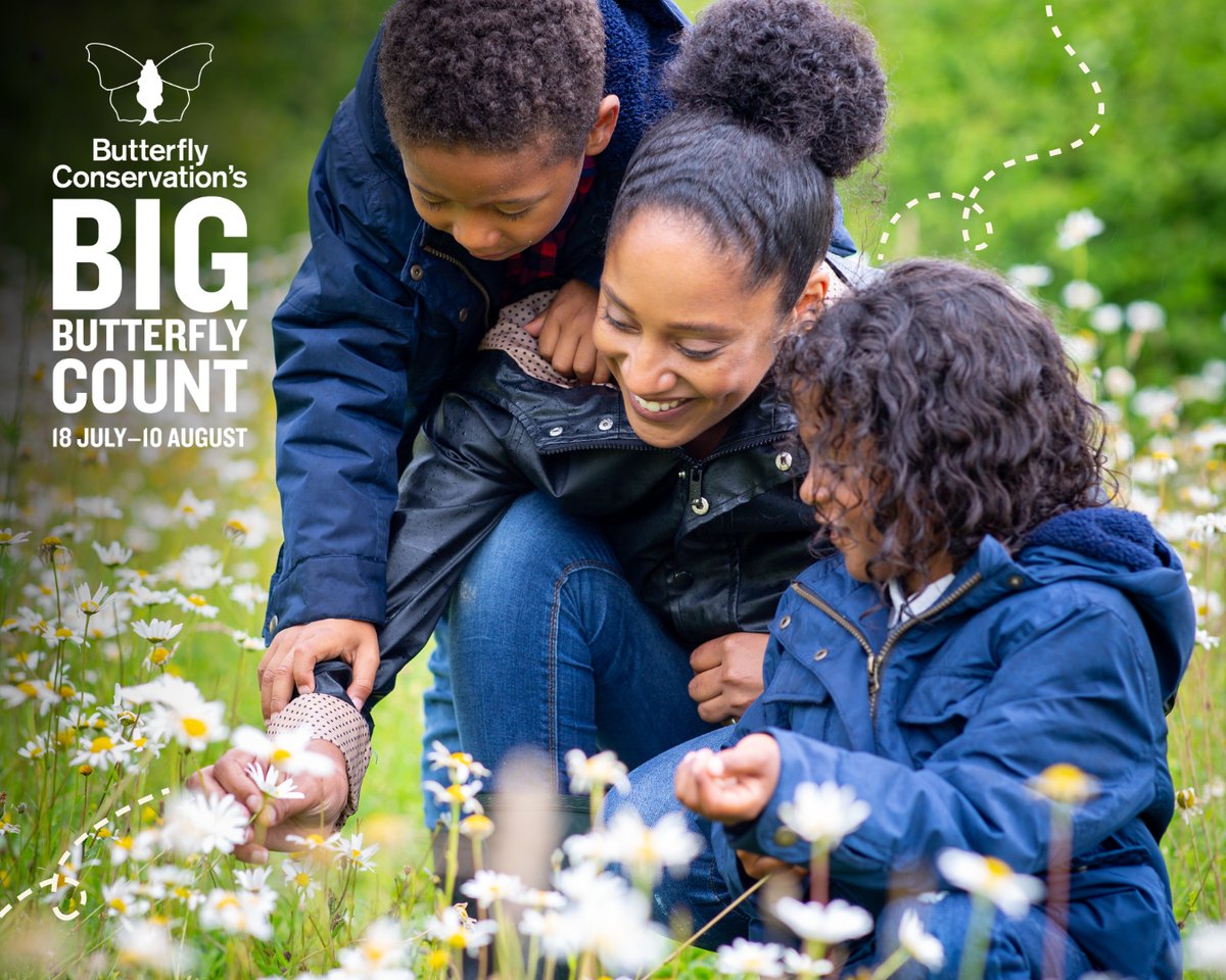 WCL_News's tweet image. Where will you do your #BigButterflyCount? 🦋 🌼
Whether it's your garden, the local park or somewhere entirely different, spend 15 minutes this week counting butterflies!
Download @savebutterflies free app and ID chart 👉 bigbutterflycount.org