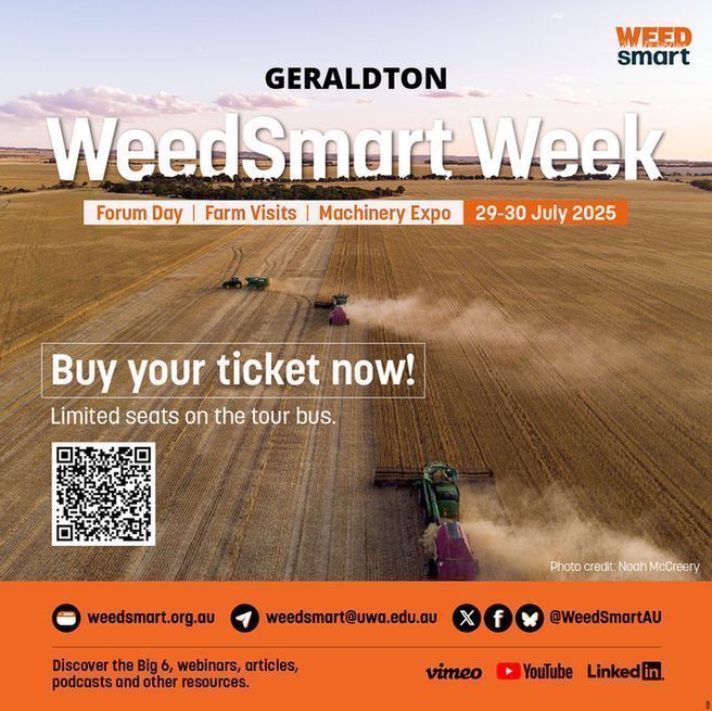 WeedSmart (@weedsmartau) on Twitter photo 1️⃣ week to go to 🥳 🚩 WeedSmart Week 🚩 in Geraldton, July 29-31!
Book your tickets now! 
Register, & view event program here. ➡️  buff.ly/ugR2ebU 
#WeedSmartWeek #Gero25 #WSW25 1️⃣ week to go to 🥳 🚩 WeedSmart Week 🚩 in Geraldton, July 29-31!
Book your tickets now! 
Register, & view event program here. ➡️  buff.ly/ugR2ebU 
#WeedSmartWeek #Gero25 #WSW25