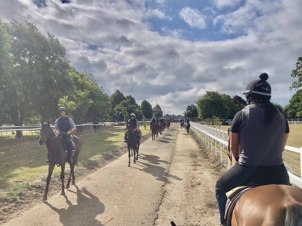 JohnWathenBerry's tweet image. A bit of sun today in Newmarket, a bit of cloud. Breezy. Warm. Currently 19 degrees, forecast high 22. A tint of green has appeared in the previously brown grass after the weekend’s rain.