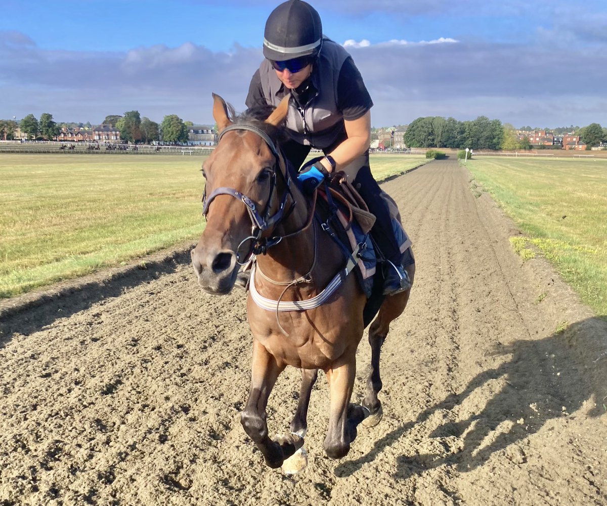 JohnWathenBerry's tweet image. A bit of sun today in Newmarket, a bit of cloud. Breezy. Warm. Currently 19 degrees, forecast high 22. A tint of green has appeared in the previously brown grass after the weekend’s rain.