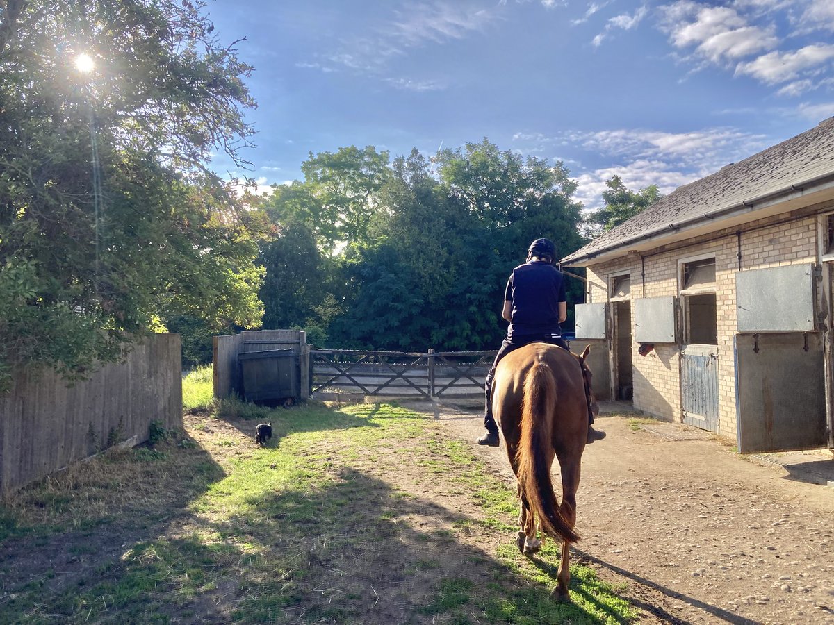 JohnWathenBerry's tweet image. A bit of sun today in Newmarket, a bit of cloud. Breezy. Warm. Currently 19 degrees, forecast high 22. A tint of green has appeared in the previously brown grass after the weekend’s rain.