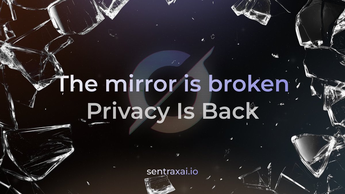 The Mirror Is Broken. Privacy Is Back

They watched because everything reflected to them. That mirror is gone now with no trace and no trail to follow

Sentrax doesn’t hide you. It replaces the system that exposed you

No towers or servers. Just silent signal passed from device
