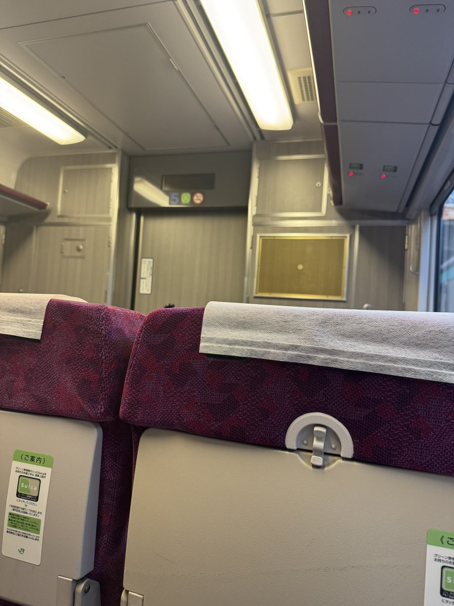 k_mohumohu's tweet image. グリーンで帰る🍀