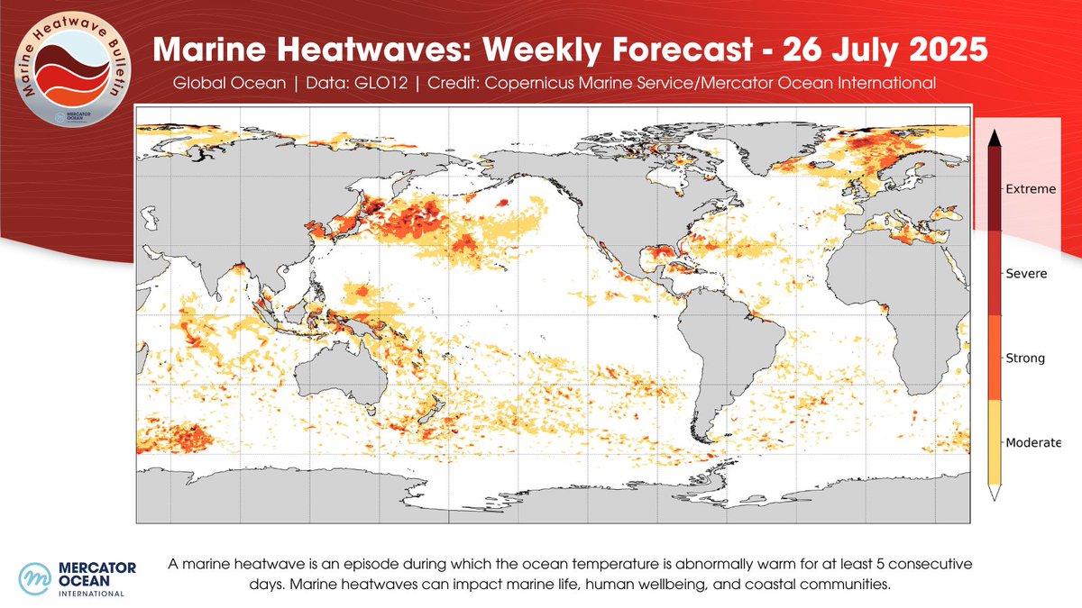 MercatorOcean's tweet image. Marine heatwaves (#MHW) are intensifying globally 🌊🌡️
🔵 A MHW has emerged in the #NorwegianSea
🔵 Conditions are intensifying in the eastern #Mediterranean
🔵 MHW conditions are intensifying in Sea of #Japan & #Okhotsk
Read more in our bulletin: mercator-ocean.eu/bulletin/marin…