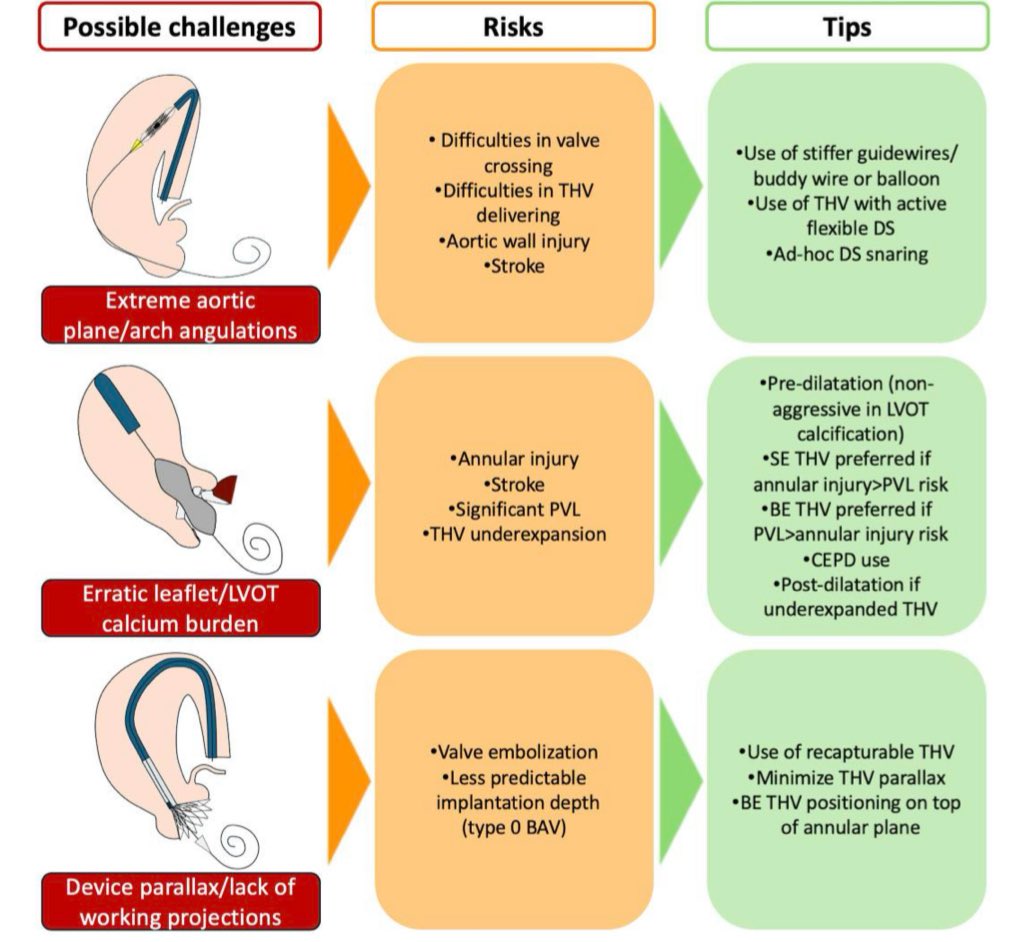 Javier Torres (@jtllergo) on Twitter photo ⚠️ Bicuspid aortic valve disease: advancements and challenges of transcatheter aortic valve implantation‼️
<a href="/ESC_Journals/">European Society of Cardiology Journals</a> <a href="/secardiologia/">Soc Esp Cardiología</a> <a href="/shci_sec/">ACI-SEC: Hemodinamica</a> <a href="/SACardiologia/">SACardiología</a> <a href="/OjedaOjeda18/">Soledad Ojeda</a> <a href="/MPAOSS/">Manuel Pan</a> <a href="/belcid7/">Belén Cid Alvarez</a> <a href="/JuradoRomanAl/">Alfonso Jurado-Román</a> <a href="/Monicaferqu/">Mónica Fernández Quero</a> <a href="/MesaLola/">Lola mesa rubio</a>
academic.oup.com/eurheartj/arti… ⚠️ Bicuspid aortic valve disease: advancements and challenges of transcatheter aortic valve implantation‼️
<a href="/ESC_Journals/">European Society of Cardiology Journals</a> <a href="/secardiologia/">Soc Esp Cardiología</a> <a href="/shci_sec/">ACI-SEC: Hemodinamica</a> <a href="/SACardiologia/">SACardiología</a> <a href="/OjedaOjeda18/">Soledad Ojeda</a> <a href="/MPAOSS/">Manuel Pan</a> <a href="/belcid7/">Belén Cid Alvarez</a> <a href="/JuradoRomanAl/">Alfonso Jurado-Román</a> <a href="/Monicaferqu/">Mónica Fernández Quero</a> <a href="/MesaLola/">Lola mesa rubio</a>
academic.oup.com/eurheartj/arti…