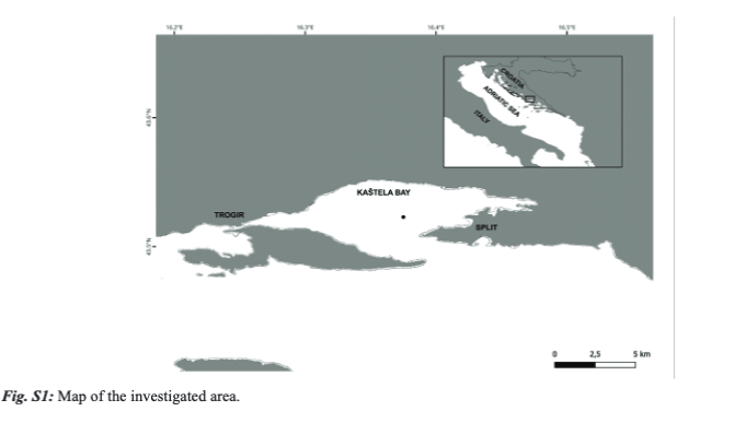 ŠESTANOVIĆ, S., VRDOLJAK TOMAŠ, A., ŠOLIĆ, M., ŠANTIĆ, D., &amp; BOJANIĆ, N. (2025). Temperature Effects on Growth Rates and Predation Loss of Bacterial Groups in Marine Ecosystems. Mediterranean Marine Science, 26(1), 131–148. doi.org/10.12681/mms.3…
#experimentalwarming #CARDFISH