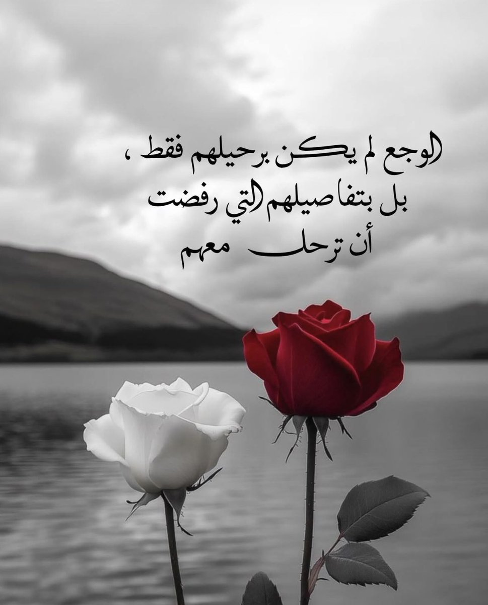 تأكد ..🥀
ان الله سيختار الأفضل لقلبك ..🥀
وان خانتك اختياراتك ..🥀

متابعيني الله يسعدكم وانتم تنورون صفحتي ..🥀🥀🥀🥀🥀