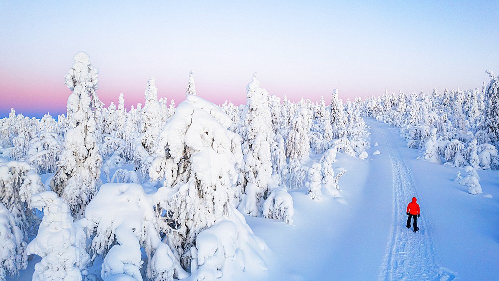 ❄️ Discover the magic of Lapland – where reindeer roam and northern lights dance across Arctic skies. Perfect for winter-themed creative projects, travel features &amp; more!
Explore the full gallery
robertharding.com/gallery/laplan… #StockPhotography #Lapland #WinterWonders #VisualInspiration