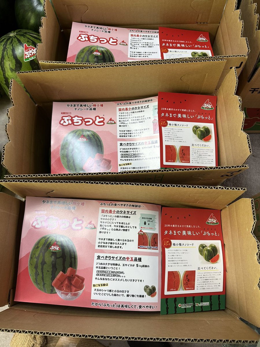 narafarm0373's tweet photo. 残りのスイカがこれだけになりました😊‼️‼️🍉 https://t.co/kRwiezwW9K