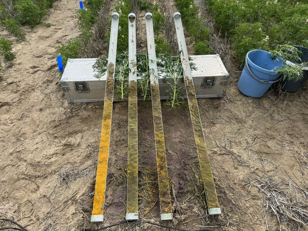 Kanch Wickramarachchi tweet media