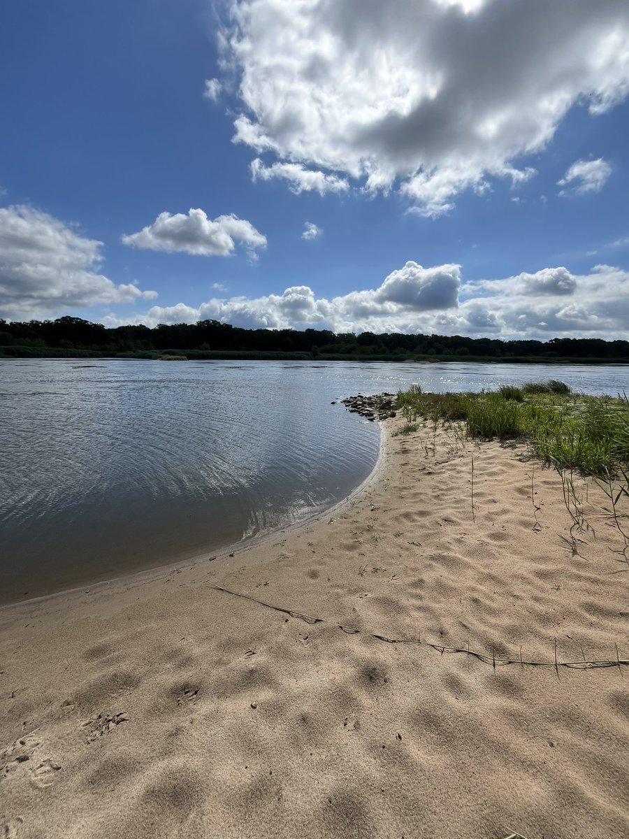 nonchalec's tweet image. i'm on some random tiny half island right now i hope the flood doesn't get me