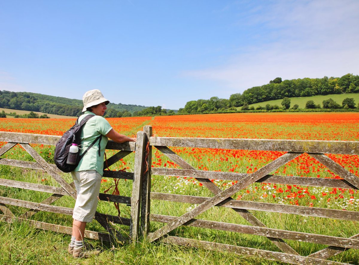 CPRE Buckinghamshire tweet media