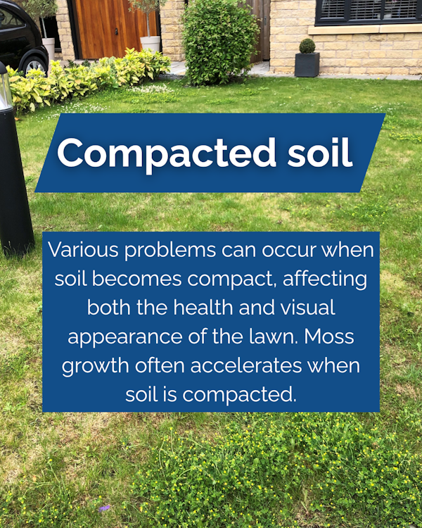 Is your lawn not looking its best? ❌

Moss, thatch, and compacted soil could be the problem 🤨

Discover common lawn issues below and how to spot them 🔎 

Need expert help? Contact one of our lawn care professionals: bit.ly/Find-Expert
