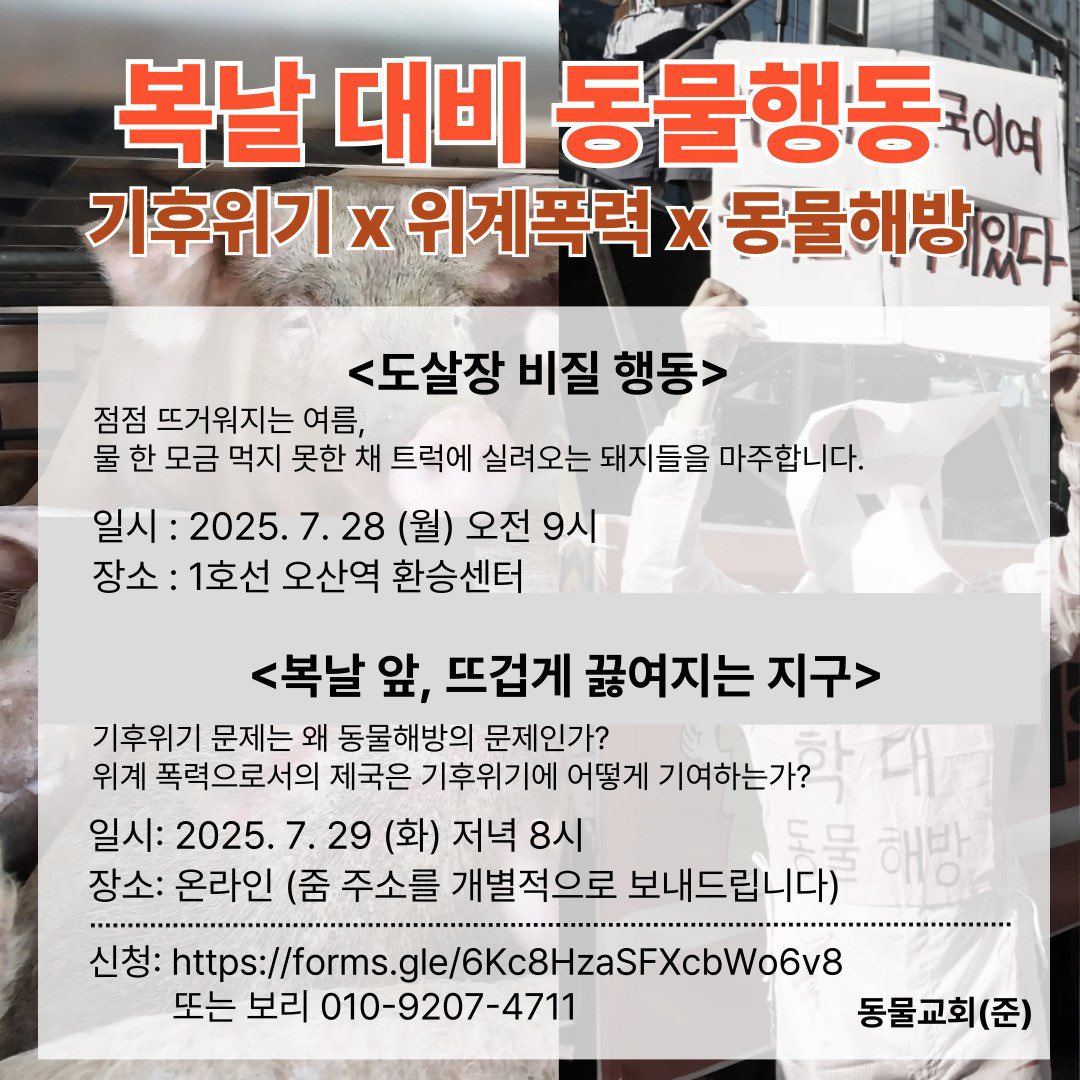 animalmoim's tweet image. 2. &lt;복날 앞, 뜨겁게 끓여지는 지구&gt;
연일 새로운 기록을 경신하고 있는 기후위기의 시대, 기후위기 문제의 핵심에는 불평등과 비가시화의 문제가 있습니다.
일시 : 2025. 7. 29. (화) 저녁 8시
장소 : 온라인 (줌 주소를 공유해드립니다)