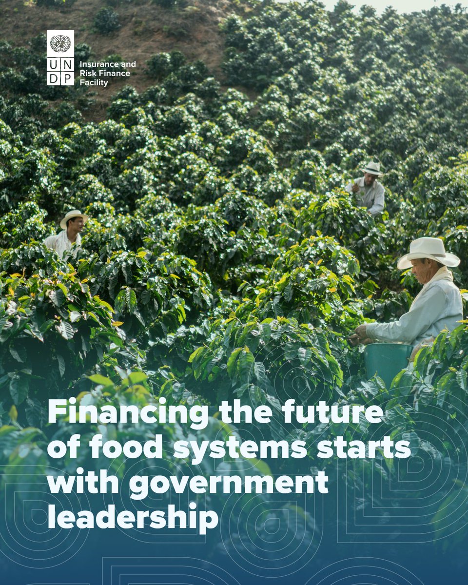 UNDP_SDGFinance's tweet image. Farmers feed the world, but many can’t access the finance they need to put food on their own tables.
Ahead of #UNFSS2025, read how governments are stepping up to transform food systems and why insurance is part of the solution.
👉 irff.undp.org/blog/financing…