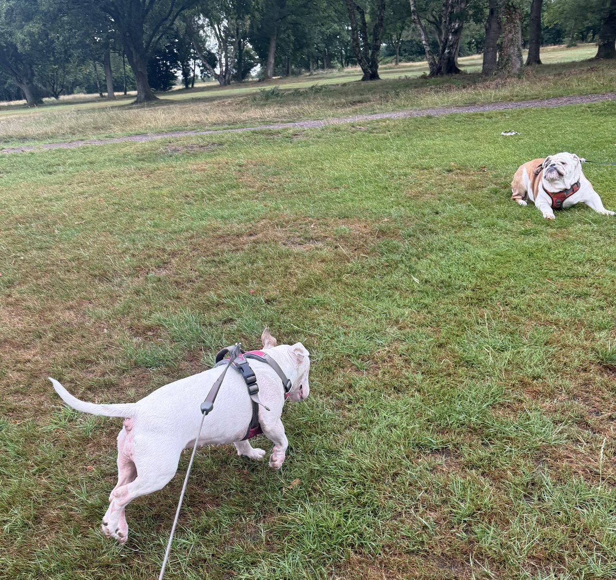 Cooler today so lots of action