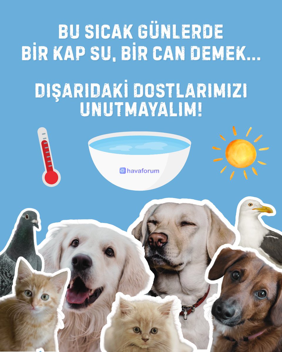 Hava çok sıcak, lütfen dışarıdaki dostlarımızı unutmayalım...