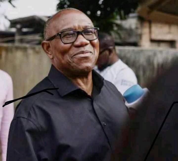 _AkporChief's tweet image. If you live and work in Tinubu's Lagos, and you still want Peter Obi to lead this country, may your life and business be like Obi's Anambra.
Can I get an Amen?