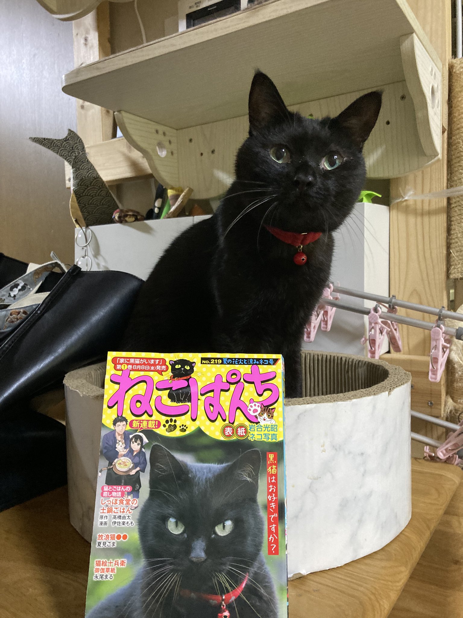 魔法のTANSA409ベリーPS-B1ぞうねこちゃんねる 一番人気✨」魔法のTANSA 409 ベリー 1000ml ※8/6~12迄に順次