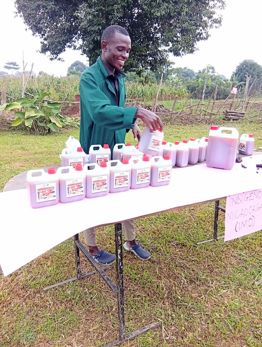 MakCAES's tweet image. Happening Today: CAES Field Day & End of Students' Internship - Held at Mbulamu Integrated Farm. Over 50 students from different departments at CAES have been undertaking field training for 2 months at farms in different parishes in Mpigi District under the PDM & 4-acre model.