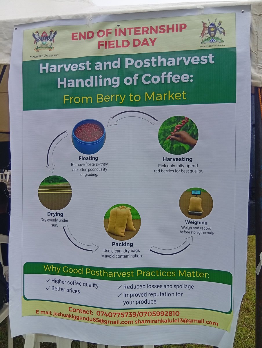 MakCAES's tweet image. Happening Today: CAES Field Day & End of Students' Internship - Held at Mbulamu Integrated Farm. Over 50 students from different departments at CAES have been undertaking field training for 2 months at farms in different parishes in Mpigi District under the PDM & 4-acre model.