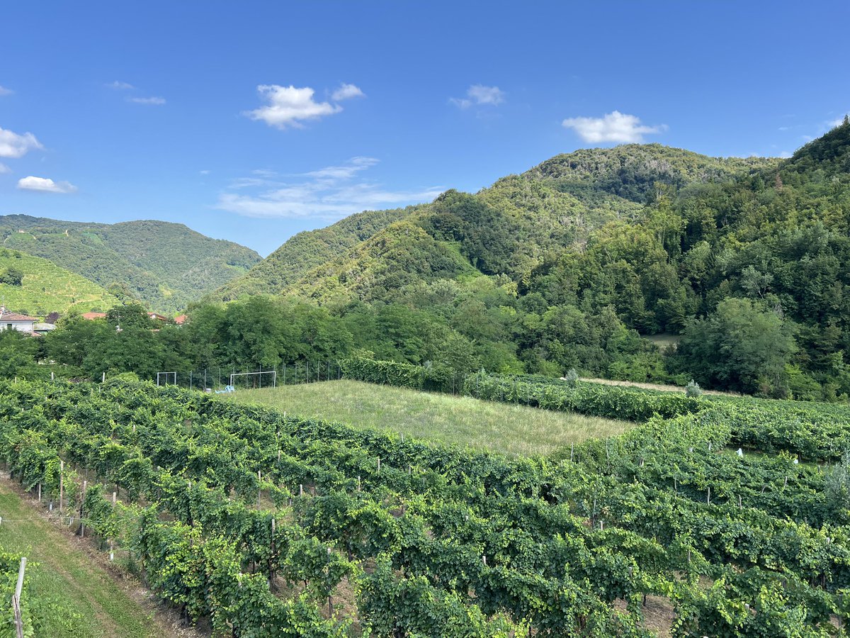 unnuovoinizio1's tweet image. If you were wondering from where our #NAFOProsecco comes from…well, this is VALDOBBIADENE!
Now testing new raffle opportunities 😄😄😄