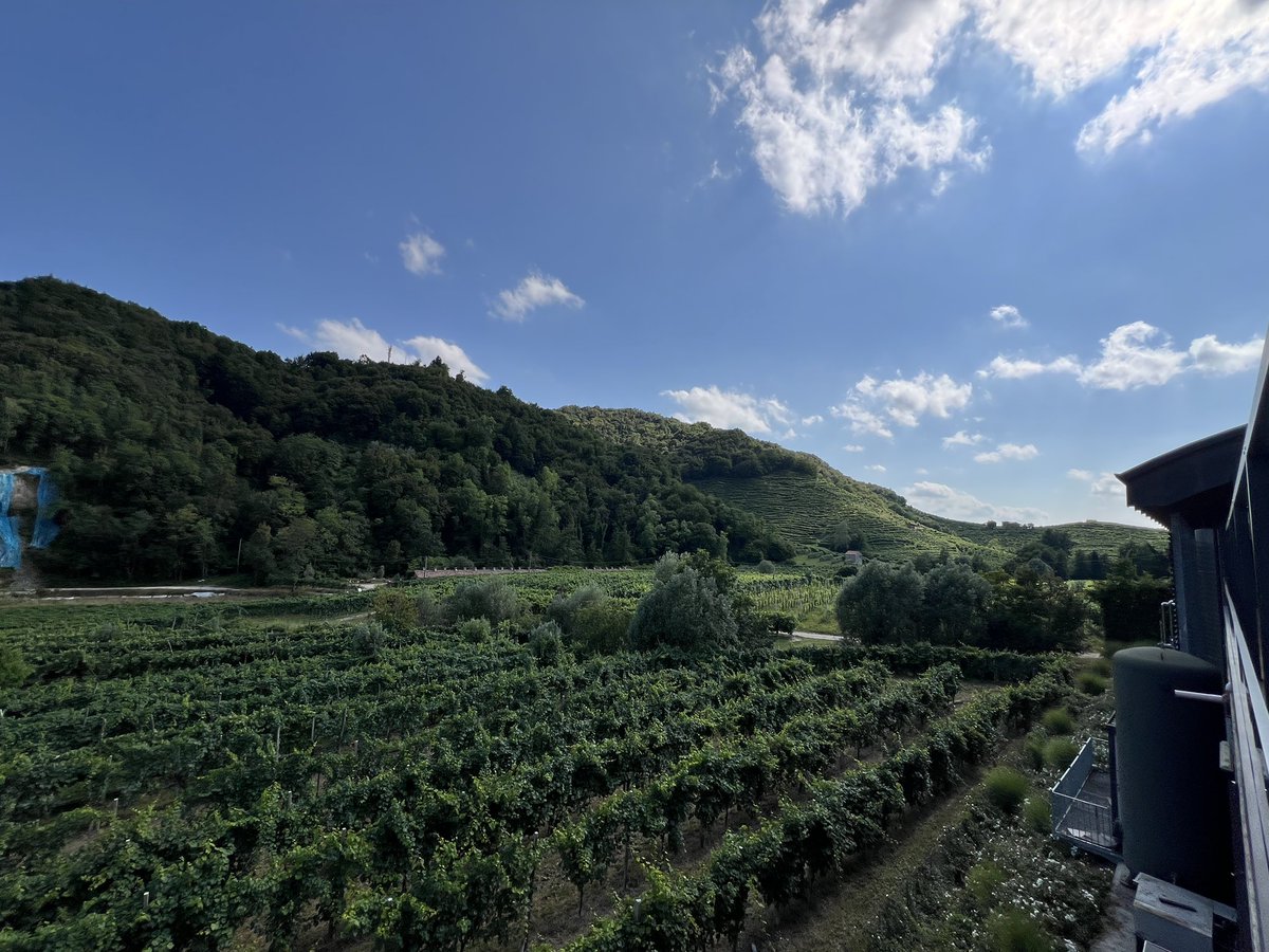 unnuovoinizio1's tweet image. If you were wondering from where our #NAFOProsecco comes from…well, this is VALDOBBIADENE!
Now testing new raffle opportunities 😄😄😄