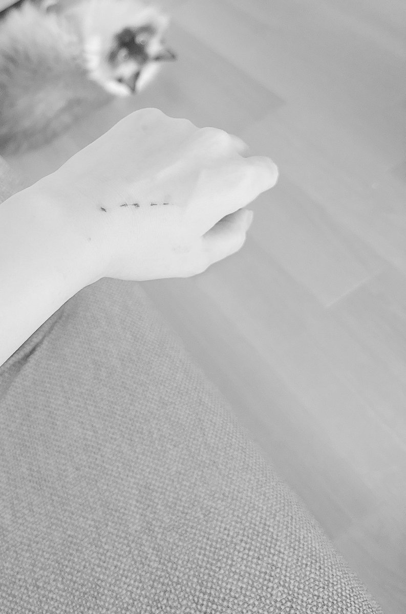kabosu52's tweet photo. YOU DIED https://t.co/99nEF4tdQt