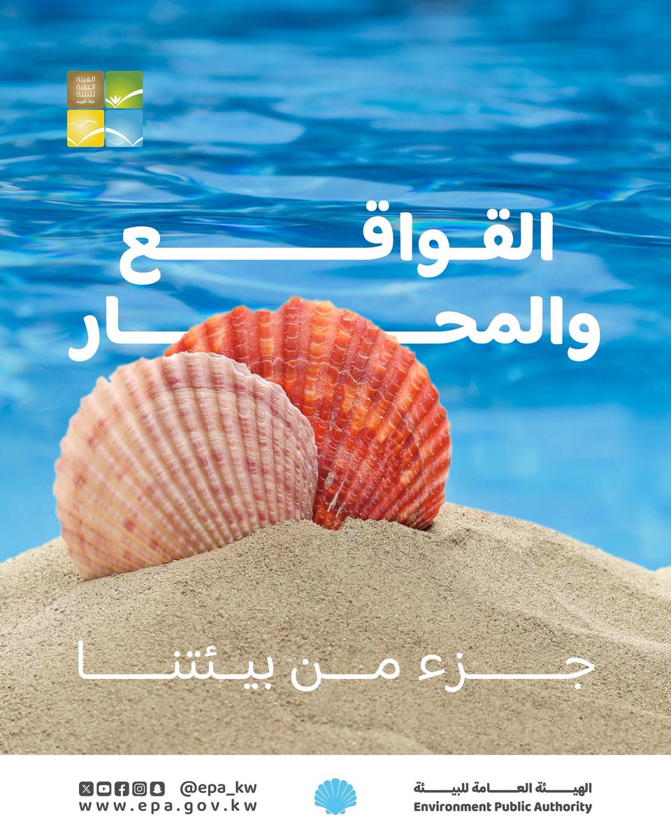 تجنب جمع القواقع والمحار من شواطيء #الكويت للحفاظ على #البيئة البحرية و يعد جمعها مخالفاً للبيئة وفق المادة (100) من قانون حماية البيئة