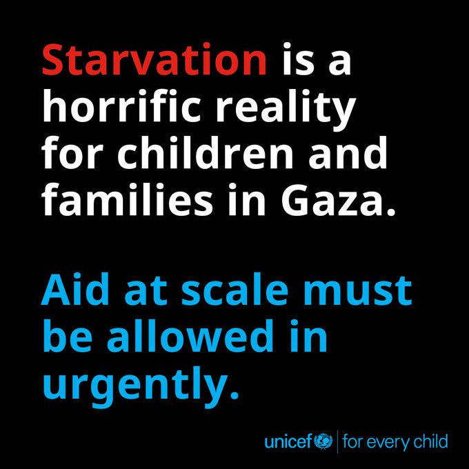 UN's tweet image. People in Gaza are starving to death.
@UNICEF is warning that deadly malnutrition among children is reaching catastrophic levels.
Humanitarian aid at scale is urgently needed.
Safe, unrestricted access into Gaza must be granted to save lives.