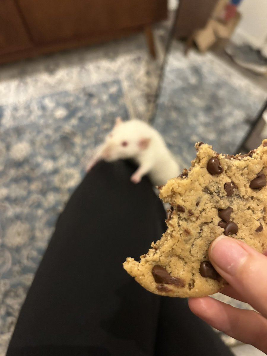 IsaRatties's tweet image. Mǒther I crave the côǒkiê