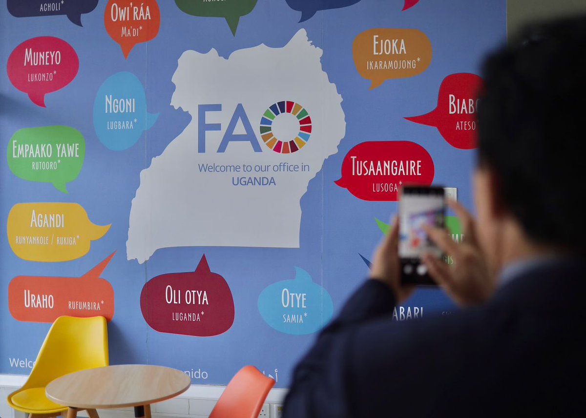 FAOUganda's tweet image. Earlier today, @FAODG QU Dongyu visited the FAO Uganda office in Kampala.
He immersed himself in the Representation’s ongoing programmes which are supporting @GovUganda’s #agriculture & rural development agenda.