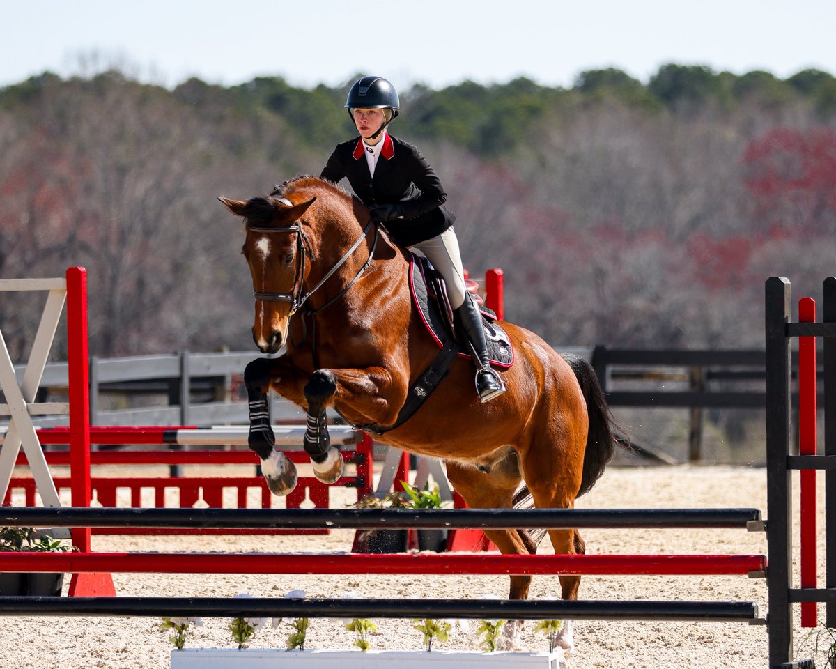 UGAEquestrian's tweet image. Counting down the days until we are back ⏰

#GoDawgs | #OurTime