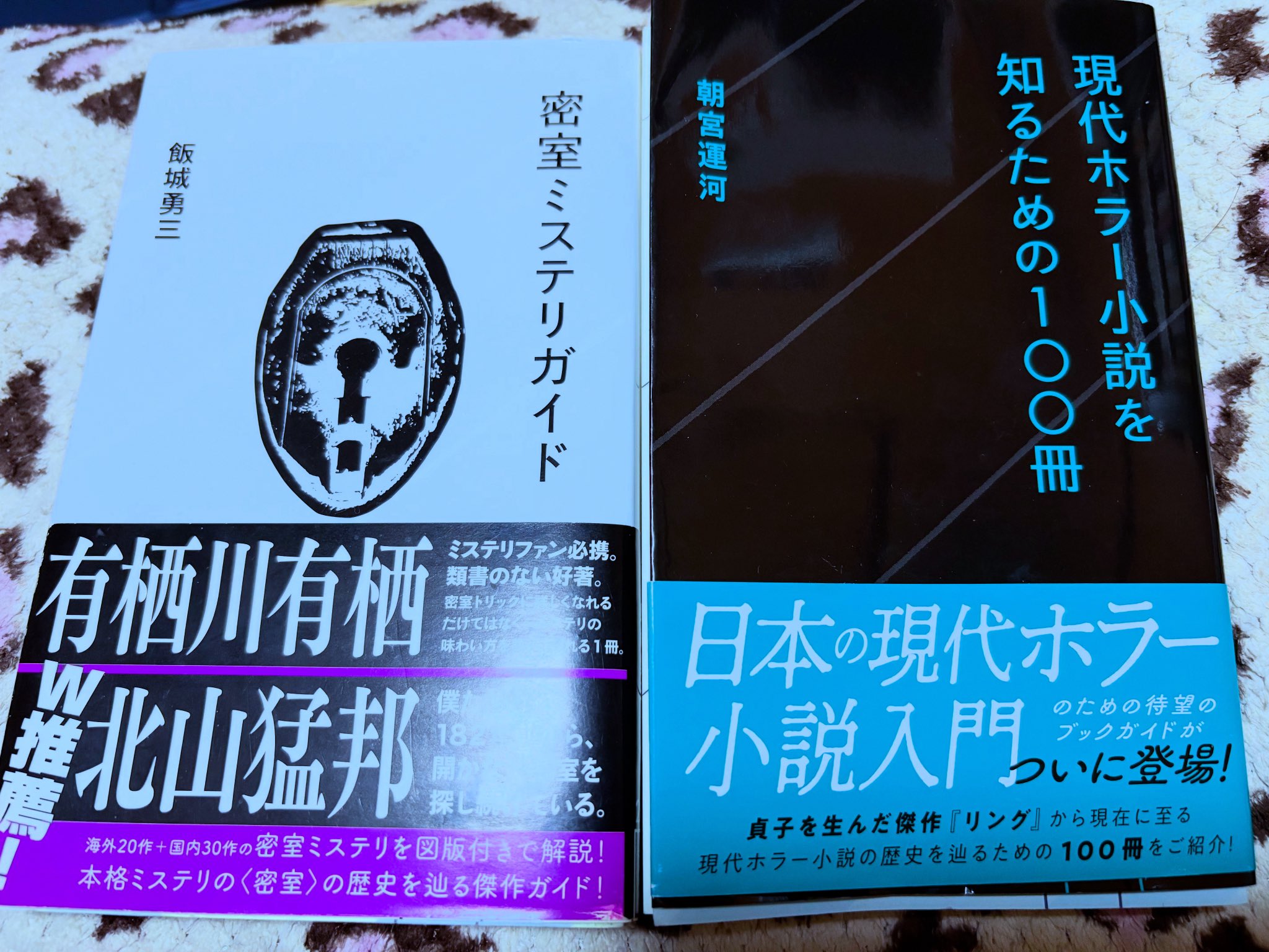 文学・小説 karimero 成瀬川るるせ【小説アカウント】 on X: 
