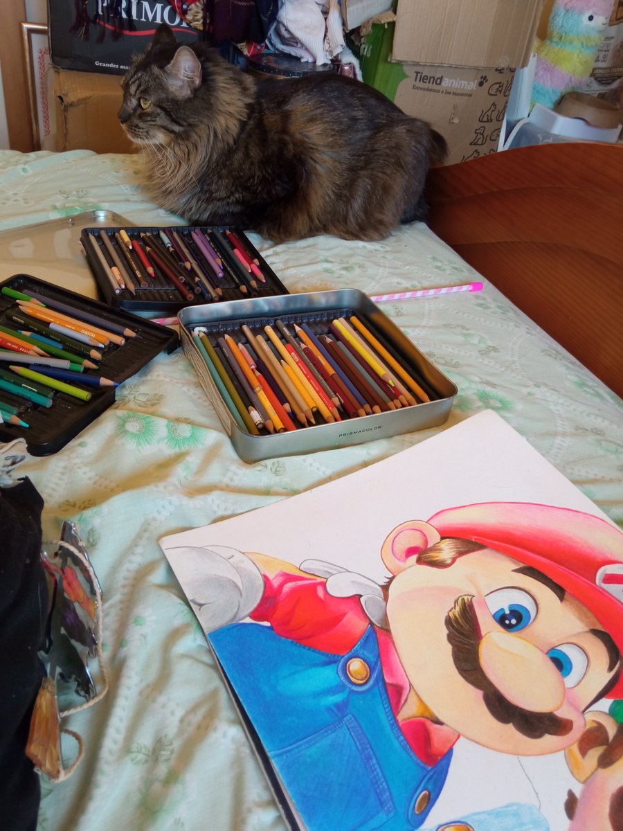 🐱Aphrodite Fenixheart ♥ tweet media