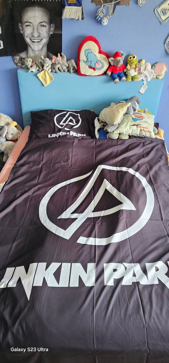LinkinParkShows's tweet image. a belated birthday present
A place for my head haha
#linkinpark