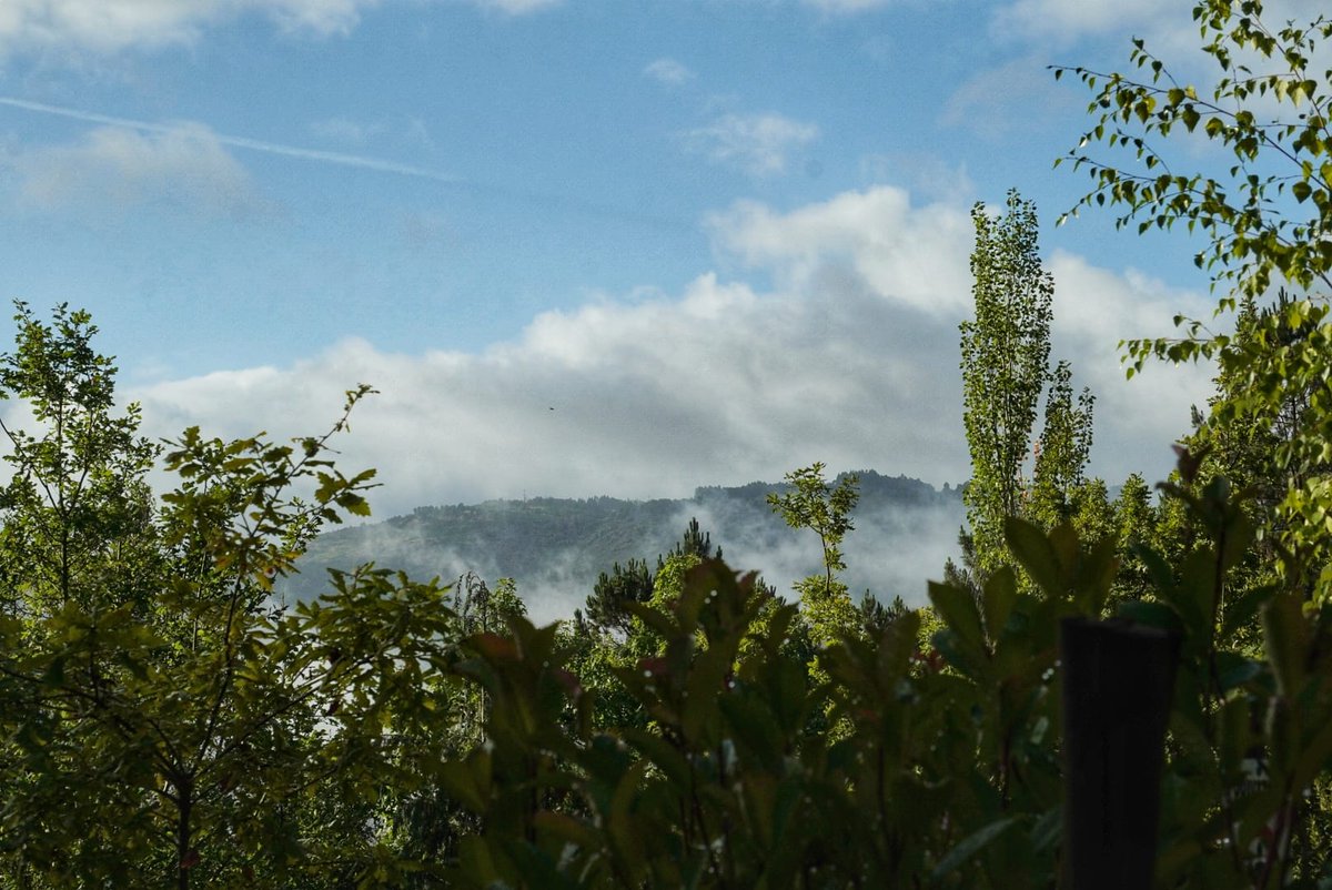 NoahRevoy's tweet image. Family time in the mountains.