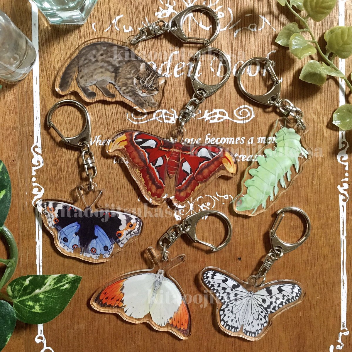 オオミズアオ (@O_mizuao) / Posts / X