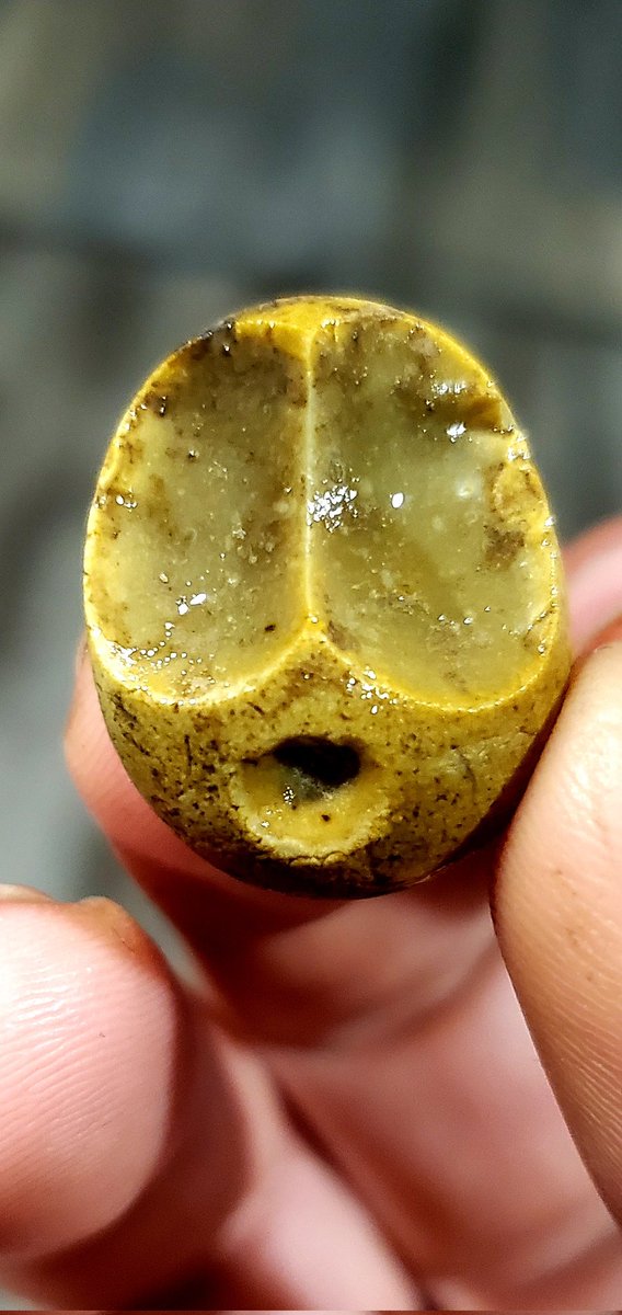 LoganBaird506's tweet image. I stumbled across this intriguing piece of chert/flint and I’m curious to hear your thoughts—does it look natural or like it’s been shaped by human hands? #Flint #Chert #Lithics #Archaeology #ArtifactIdentification #WhatDoYouThink