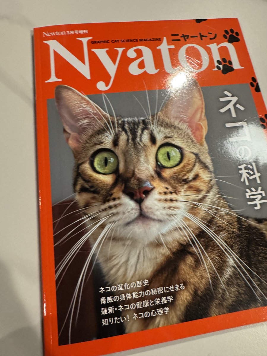 YySanyo1's tweet image. もっと猫のこと知りたい🐈🐈‍⬛