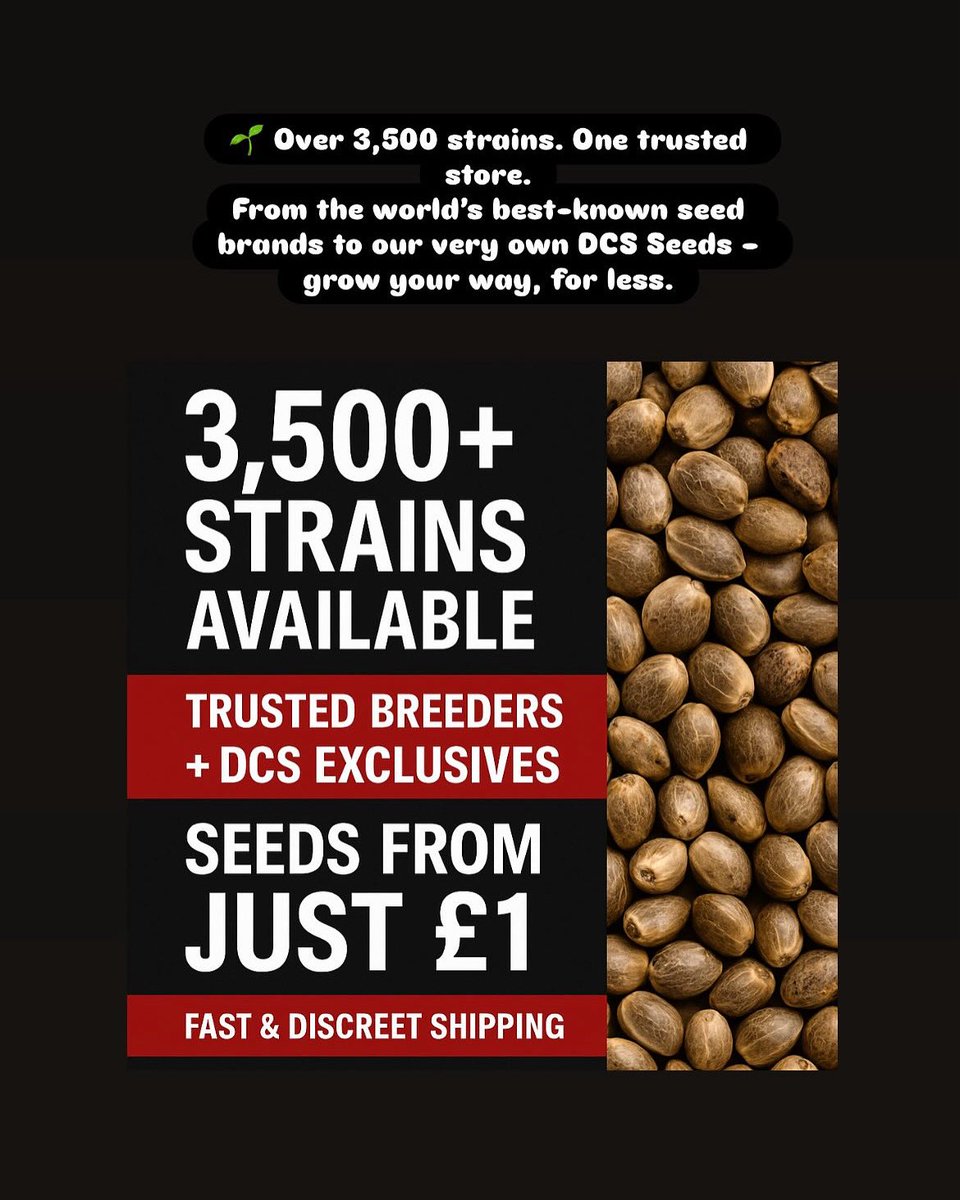 SeedsDiscount's tweet image. 🌱 Over 3,500 strains. One trusted store.
From the world’s best-known seed brands to our very own DCS Seeds – grow your way, for less.
✅ Feminized, autoflower & regular seeds
✅ Trusted breeders like Fast Buds, Dutch Passion & more
✅ Exclusive DCS strains – customer favourite.