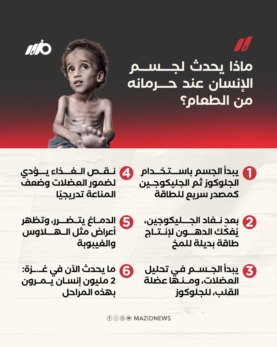 MazidNews's tweet image. غـ.ـزة تواجه كارثة إنسانية حادة، حيث يعاني نحو 2 مليون شخص من الجوع الشديد ومراحله الخطيرة التي تهدد الحياة
#مزيد